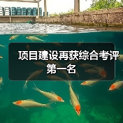 项目建设再获综合考评第一名（图4）