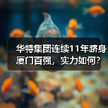 华特集团连续11年跻身厦门百强，实力如何？（图2）