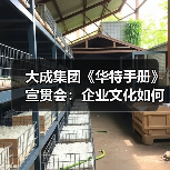 大成集团《华特手册》宣贯会：企业文化如何赋能创新发展（图2）