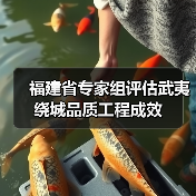 福建省专家组评估武夷绕城品质工程成效（图2）