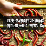 武夷绕城项目如何确保高质量推进？高文川调研明确方向（图3）