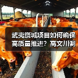 武夷绕城项目如何确保高质量推进？高文川调研明确方向（图4）
