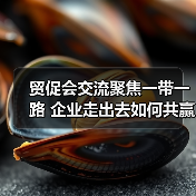 贸促会交流聚焦一带一路 企业走出去如何共赢？（图2）