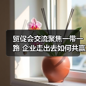 贸促会交流聚焦一带一路 企业走出去如何共赢？（图3）