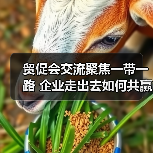 贸促会交流聚焦一带一路 企业走出去如何共赢？（图4）