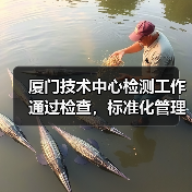 厦门技术中心检测工作通过检查，标准化管理成关键（图3）