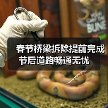 春节桥梁拆除提前完成 节后道路畅通无忧（图3）