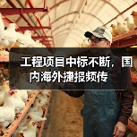工程项目中标不断，国内海外捷报频传（图2）