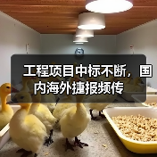 工程项目中标不断，国内海外捷报频传（图3）