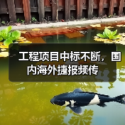 工程项目中标不断，国内海外捷报频传（图4）
