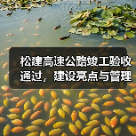 松建高速公路竣工验收通过，建设亮点与管理要求解析