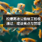 松建高速公路竣工验收通过，建设亮点与管理要求解析（图4）