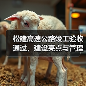 松建高速公路竣工验收通过，建设亮点与管理要求解析（图3）