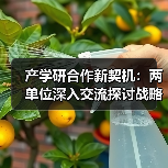 产学研合作新契机：两单位深入交流探讨战略合作方向（图2）