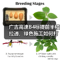 广吉高速B4标提前半幅拉通，绿色施工如何打造品质工程？（图4）