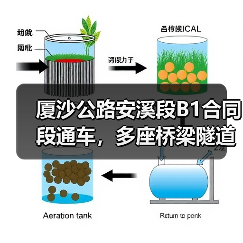 厦沙公路安溪段B1合同段通车，多座桥梁隧道高效建成！（图2）