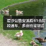 厦沙公路安溪段B1合同段通车，多座桥梁隧道高效建成！
