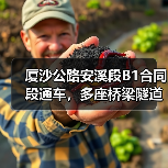 厦沙公路安溪段B1合同段通车，多座桥梁隧道高效建成！（图3）