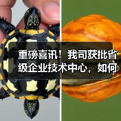 重磅喜讯！我司获批省级企业技术中心，如何助力创新发展？