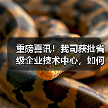 重磅喜讯！我司获批省级企业技术中心，如何助力创新发展？（图2）