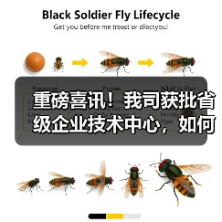重磅喜讯！我司获批省级企业技术中心，如何助力创新发展？（图3）