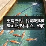 重磅喜讯！我司获批省级企业技术中心，如何助力创新发展？（图4）