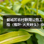 婺城区农村联网公路工程（雅叶-火天岭头）中标项目详情解析（图3）