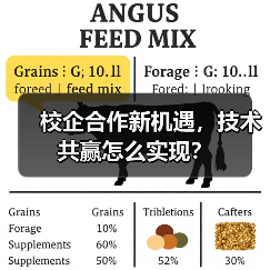 校企合作新机遇，技术共赢怎么实现？