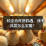 校企合作新机遇，技术共赢怎么实现？（图2）