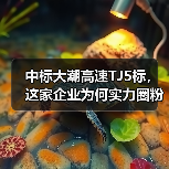 中标大潮高速TJ5标，这家企业为何实力圈粉？（图4）