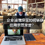 企业诚信经营如何斩获信用示范荣誉？（图3）
