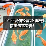 企业诚信经营如何斩获信用示范荣誉？（图4）