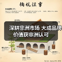 深耕非洲市场 大成品牌价值获非洲认可（图2）