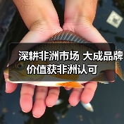 深耕非洲市场 大成品牌价值获非洲认可（图3）