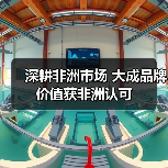 深耕非洲市场 大成品牌价值获非洲认可（图4）