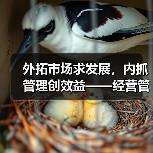 外拓市场求发展，内抓管理创效益——经营管理大会圆满举办（图3）
