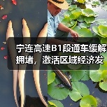 宁连高速B1段通车缓解拥堵，激活区域经济发展