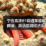 宁连高速B1段通车缓解拥堵，激活区域经济发展（图2）