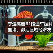 宁连高速B1段通车缓解拥堵，激活区域经济发展（图4）