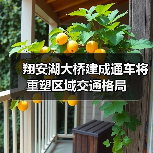 翔安湖大桥建成通车将重塑区域交通格局（图2）