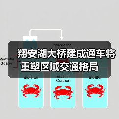 翔安湖大桥建成通车将重塑区域交通格局（图4）