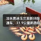 漳永高速玉兰至新圩段通车，31.9公里新路段助力建设（图4）