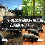 宁德沈海复线柘荣至福安段通车了吗？（图2）