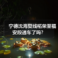 宁德沈海复线柘荣至福安段通车了吗？（图3）
