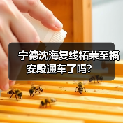 宁德沈海复线柘荣至福安段通车了吗？（图4）