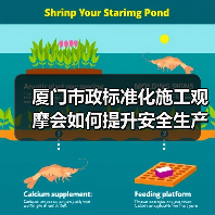 厦门市政标准化施工观摩会如何提升安全生产管理