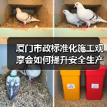 厦门市政标准化施工观摩会如何提升安全生产管理（图2）