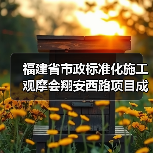 福建省市政标准化施工观摩会翔安西路项目成标杆