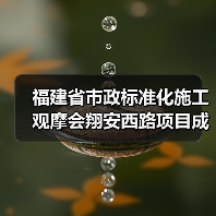 福建省市政标准化施工观摩会翔安西路项目成标杆（图4）