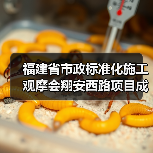 福建省市政标准化施工观摩会翔安西路项目成标杆（图3）